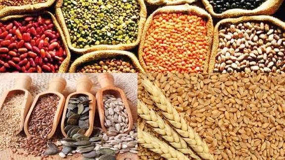 Procurement worth Rs 5,547.99 crore approved for pulses, oilseeds in three states